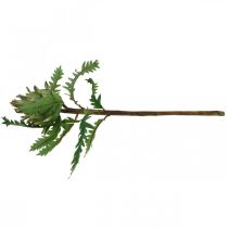 Itens Alcachofra Alcachofra Verde Deco Outono Ø7,5cm Alt.43cm