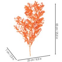 Itens Ramo de flores de aspargo secas, tingidas, 65 cm, 80 g