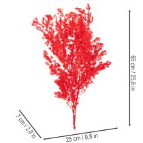 Itens Maço de aspargos secos para arranjos florais, 65 cm, 80 g