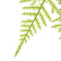 Itens Aspargo artificial para pendurar, ideal para decoração de casa com pouca manutenção, 75 cm