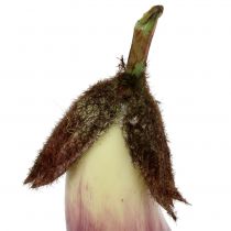 Berinjela 18,5cm roxa