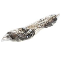 Itens Badam em bastão natural 6cm - 12cm 23 unid.