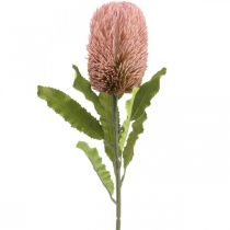 Itens Flor artificial Banksia rosa decoração de outono floricultura comemorativa 64cm