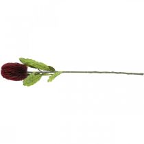 Itens Flor Artificial Banksia Vermelho Borgonha Exóticos Artificiais 64cm