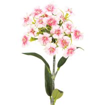 Itens Cravo barbudo Cravo artificial Pêssego Rosa 52cm