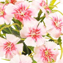 Itens Cravo barbudo Cravo artificial Pêssego Rosa 52cm