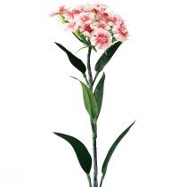 Itens Cravo barbudo Cravo artificial Pêssego Rosa 52cm