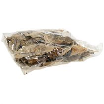 Itens Esponja de árvore cogumelos decorativos naturais secos 6cm 1kg