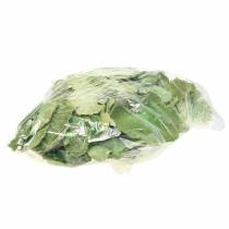 Itens Esponja de árvore verde lavada de branco 1kg