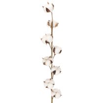 Itens Ramo artificial de algodão com 8 flores naturais, 78 cm