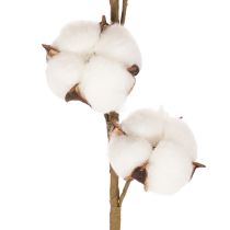 Itens Ramo artificial de algodão com 8 flores naturais, 78 cm