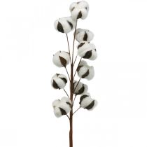 Ramo de algodão decoração natural 10 cabeças em fio decoração algodão 68cm