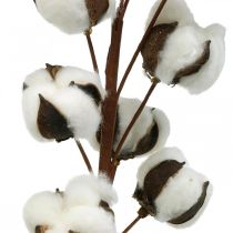 Ramo de algodão decoração natural 10 cabeças em fio decoração algodão 68cm