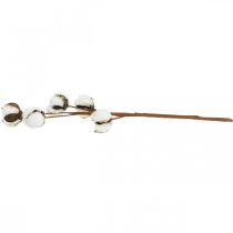 Itens Decoração de ramo de algodão Ramo decorativo de algodão real 5 cabeças 50cm