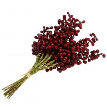 Itens Berry Pick Vermelho 23cm 12 unidades