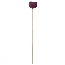 Itens Copo de sino em uma haste decoração seca funeral floricultura vinho tinto 15 peças