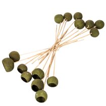 Itens Taça em forma de sino com haste, verde, flores exóticas secas, 5 cm, 15 peças