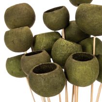 Itens Taça em forma de sino com haste, verde, flores exóticas secas, 5 cm, 15 peças
