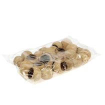 Itens Copo Bell pequeno natural 25 un