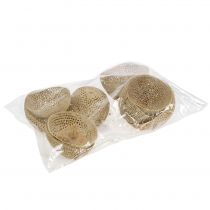 Itens Copo Sino de Frutos Secos Decoração Natural de Luto 8,5-11cm 10 un