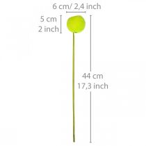 Itens Bell Cup em palito Green Dried Exotics 15 un