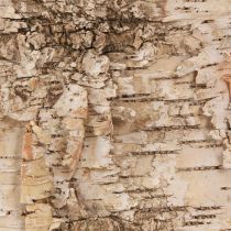 Itens Tiras decorativas de casca de bétula branco natural 48×15cm 6 un
