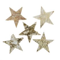 Itens Estrelas de bétula 6cm 100 peças