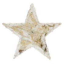 Itens Estrelas de bétula naturais cobertas de neve 6,5 cm 30 unidades