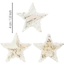 Itens Estrelas de bétula, cobertas de neve, 4 cm, naturais, 60 peças