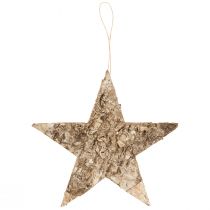 Itens Estrelas de bétula para decoração suspensa estrelas casca de bétula 20cm 4 peças
