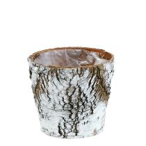 Itens Vaso de bétula médio Ø12cm A10,5cm branco-nature