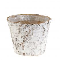 Itens Vaso com casca de bétula branqueada Ø15cm Alt.12,5cm 3 unid.