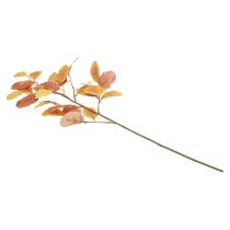 Itens Decoração de outono, ramo decorativo de faia, ramo artificial decorativo 72,5 cm