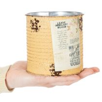 Itens Lata decorativa de metal cor damasco, vaso para plantas, Ø11cm A10,5cm