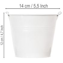 Itens Baldes de lata branca Ø14cm A12cm, 6 unidades