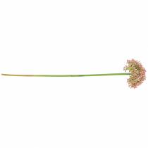 Itens Allium rosa artificial 55cm