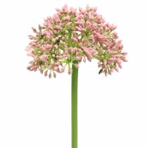 Itens Allium rosa artificial 55cm