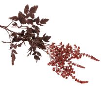 Itens Flor artificial Astilbe de caule longo 'Splemendor' 80cm