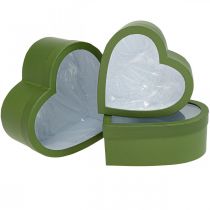 Caixa de Presente de Flores Coração Caixa de Flores Verde 24/21,5/19cm Conjunto de 3