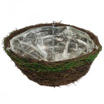 Itens Cesto de pendurar cesto de pendurar castanho cesto de plantas vinha musgo Ø31cm