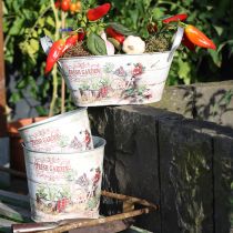 Itens Vaso de flores pequeno metal colorido Fresh Garden H16cm 2 peças