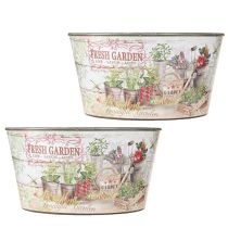 Itens Vaso de flores vintage plástico Fresh Garden colorido Ø21cm 2 peças