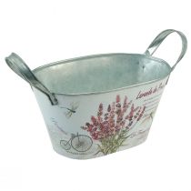 Itens Floreira com alças oval metal lavanda 32×15×15cm