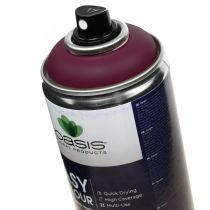 OASIS® Easy Color Spray, spray de tinta Erika 400ml