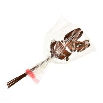 Itens Plugue de flor decoração de coelho ferrugem 7,5 cm × 11,5 cm 6 unidades