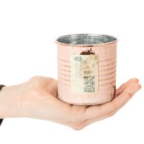 Itens Vaso decorativo para flores, lata de metal cor salmão, recipiente para ervas aromáticas Ø8cm H7,5cm