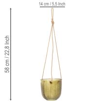 Itens Vaso de vidro para flores/lanterna suspensa, roxo/verde, 14 cm, 2 peças