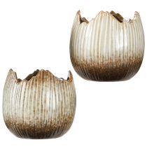 Itens Vaso Cerâmico Ovo Quebrado Creme Marrom Ø11,5cm 2 pcs