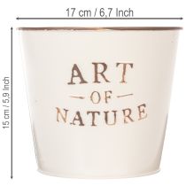 Itens Vaso de zinco Art of Nature Creme Ø17,5cm A15cm