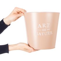 Itens Conjunto de 2 Vasos Redondos Art of Nature em Aço Zincado 22 cm